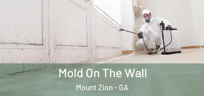 Mold On The Wall Mount Zion - GA