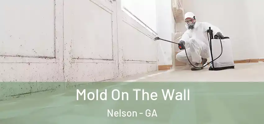 Mold On The Wall Nelson - GA