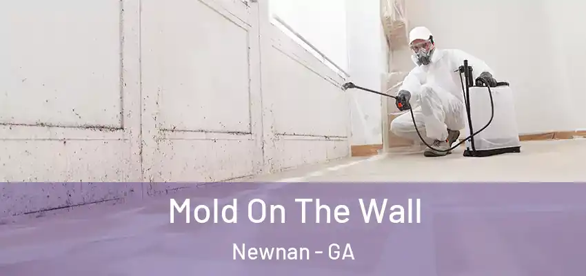 Mold On The Wall Newnan - GA