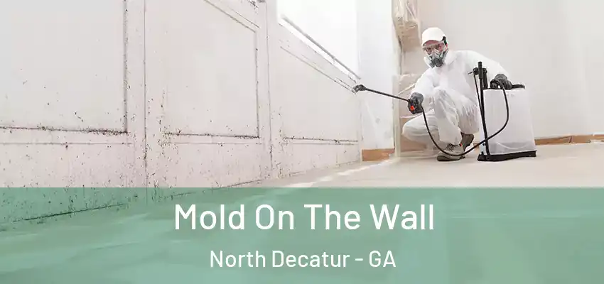 Mold On The Wall North Decatur - GA