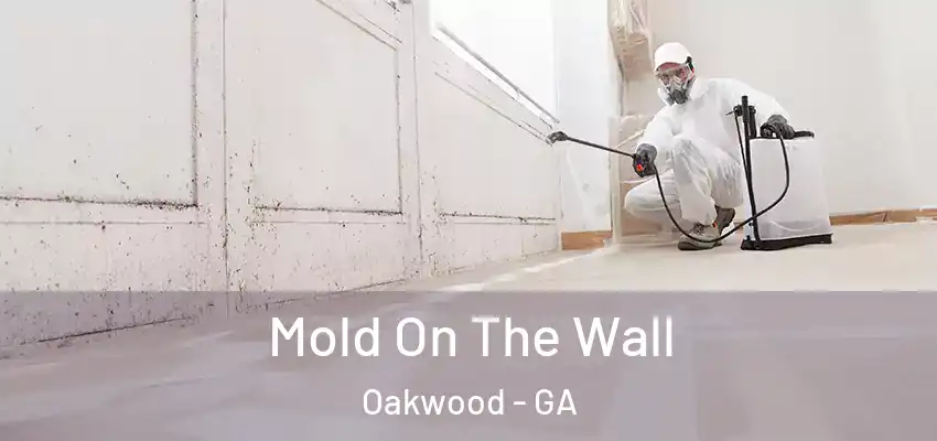  Mold On The Wall Oakwood - GA
