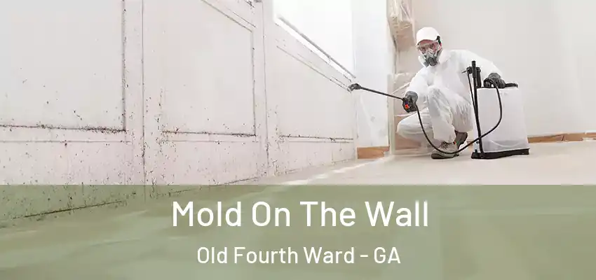 Mold On The Wall Old Fourth Ward - GA