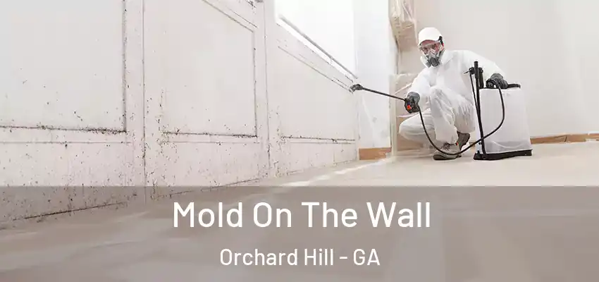  Mold On The Wall Orchard Hill - GA