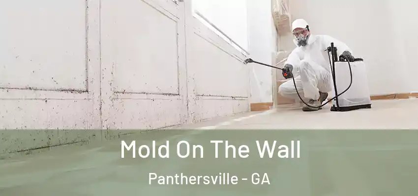 Mold On The Wall Panthersville - GA