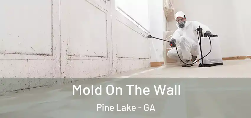Mold On The Wall Pine Lake - GA