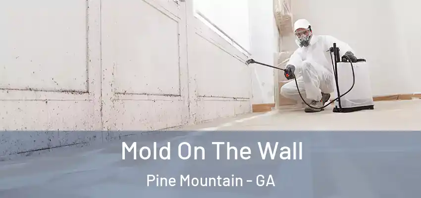 Mold On The Wall Pine Mountain - GA