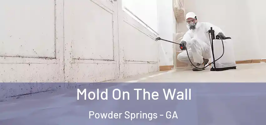 Mold On The Wall Powder Springs - GA