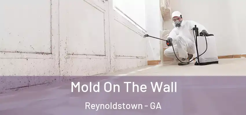Mold On The Wall Reynoldstown - GA