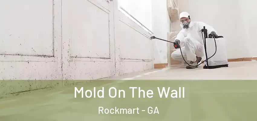 Mold On The Wall Rockmart - GA