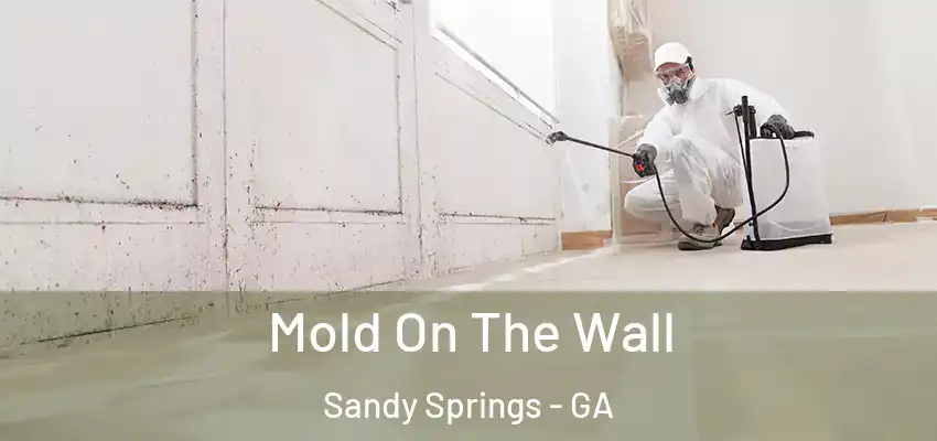 Mold On The Wall Sandy Springs - GA