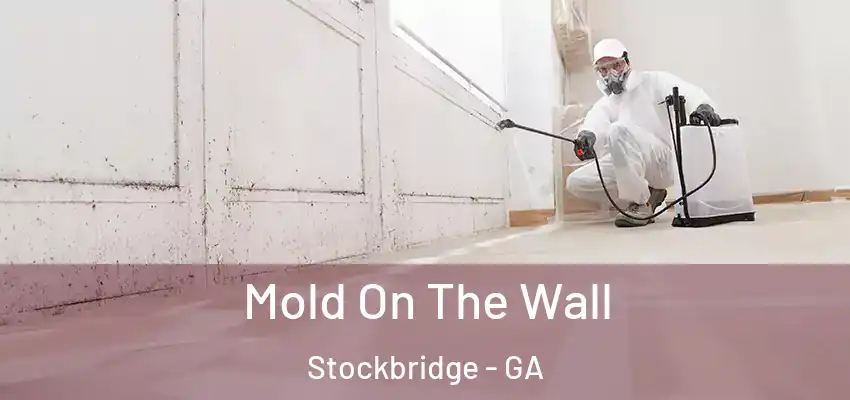 Mold On The Wall Stockbridge - GA