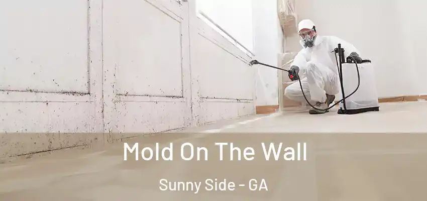 Mold On The Wall Sunny Side - GA