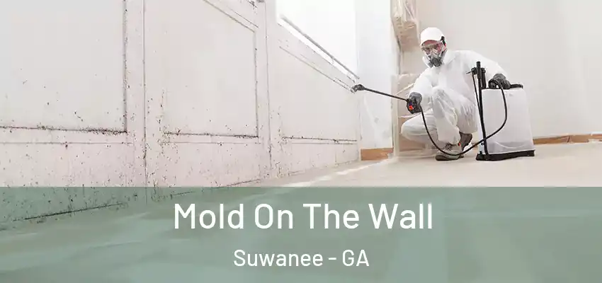Mold On The Wall Suwanee - GA