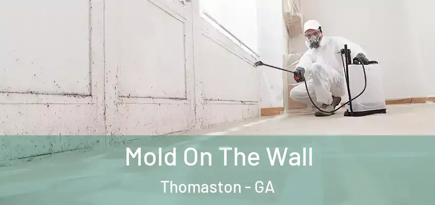 Mold On The Wall Thomaston - GA