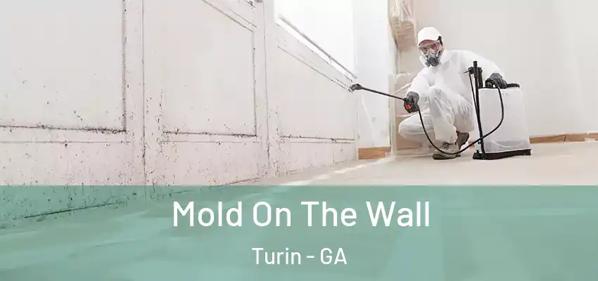 Mold On The Wall Turin - GA