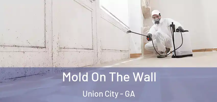 Mold On The Wall Union City - GA