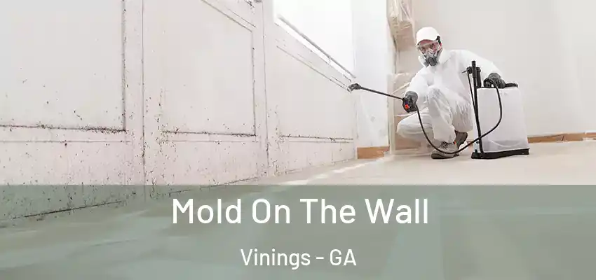 Mold On The Wall Vinings - GA