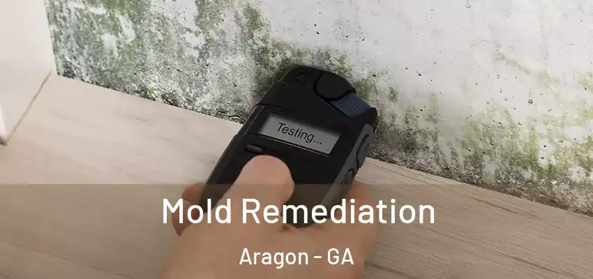  Mold Remediation Aragon - GA