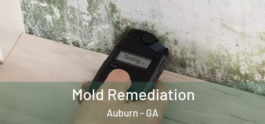 Mold Remediation Auburn - GA