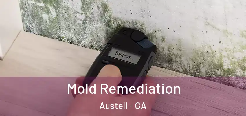 Mold Remediation Austell - GA