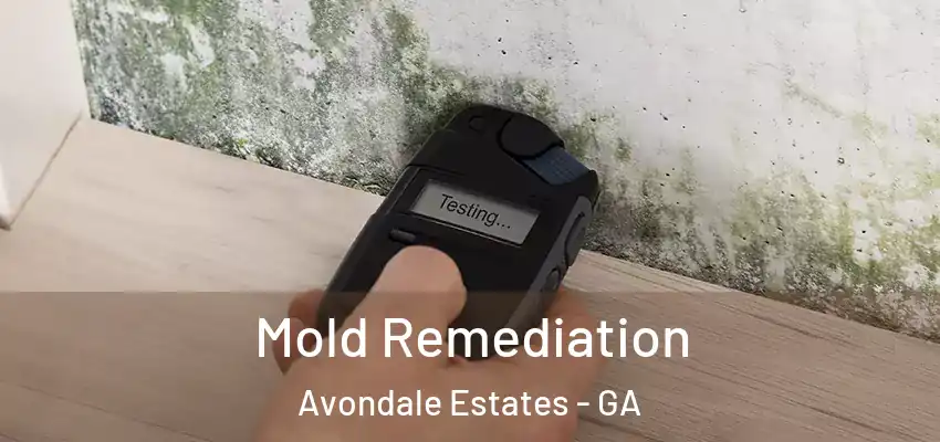 Mold Remediation Avondale Estates - GA