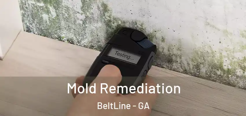 Mold Remediation BeltLine - GA
