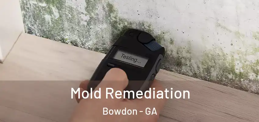 Mold Remediation Bowdon - GA