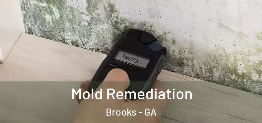  Mold Remediation Brooks - GA