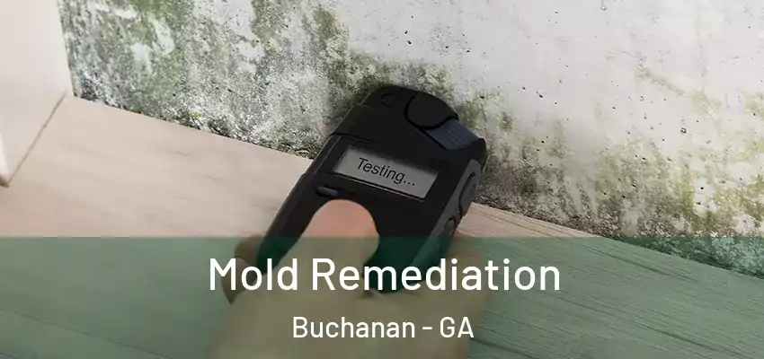 Mold Remediation Buchanan - GA