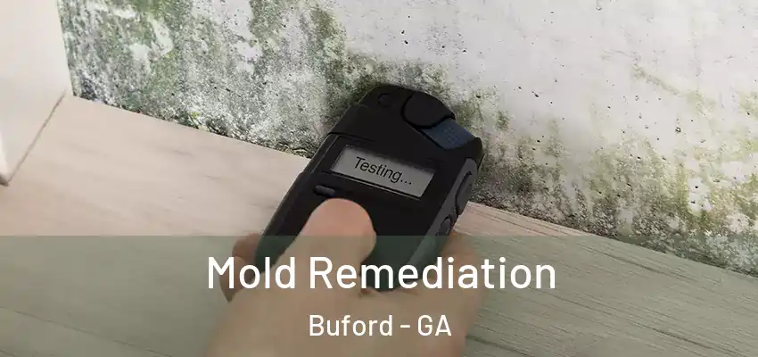 Mold Remediation Buford - GA