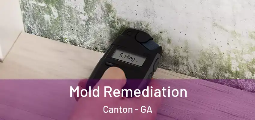 Mold Remediation Canton - GA