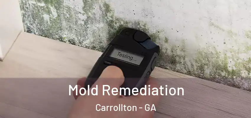  Mold Remediation Carrollton - GA