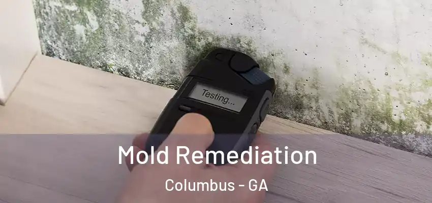 Mold Remediation Columbus - GA