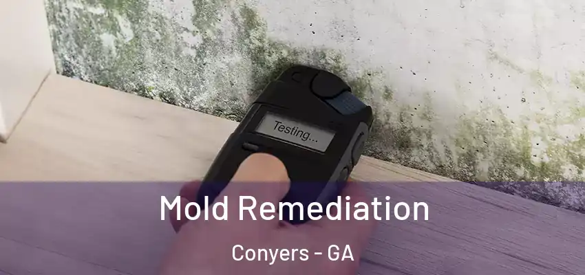  Mold Remediation Conyers - GA