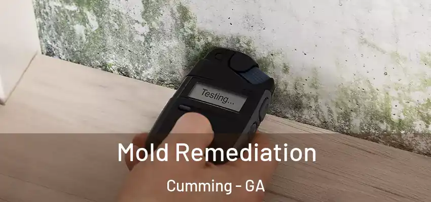Mold Remediation Cumming - GA