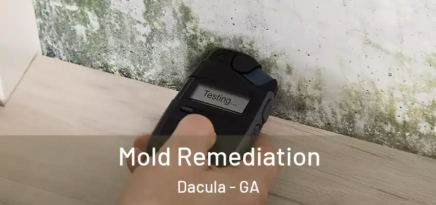 Mold Remediation Dacula - GA