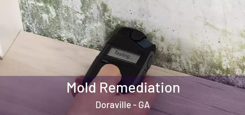 Mold Remediation Doraville - GA