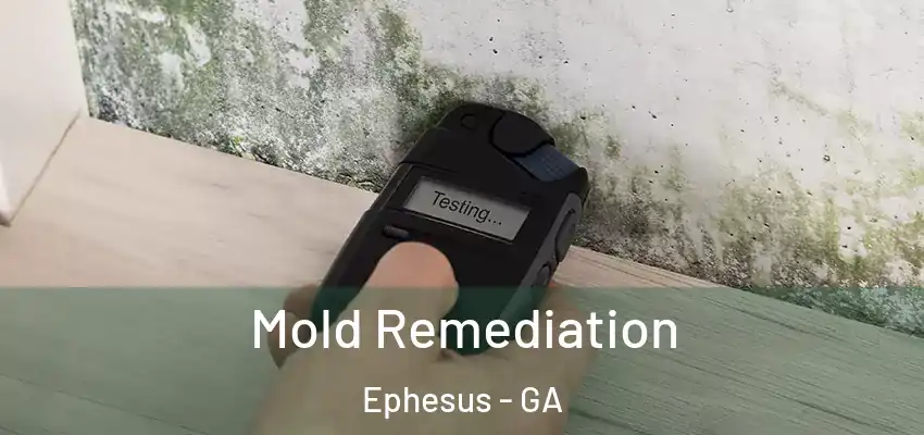 Mold Remediation Ephesus - GA