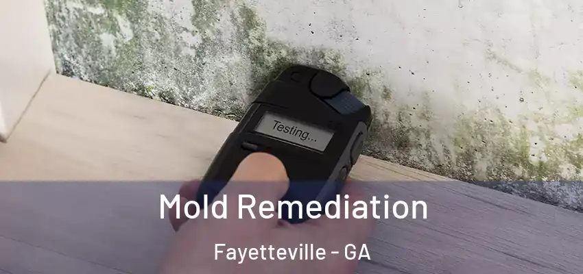  Mold Remediation Fayetteville - GA