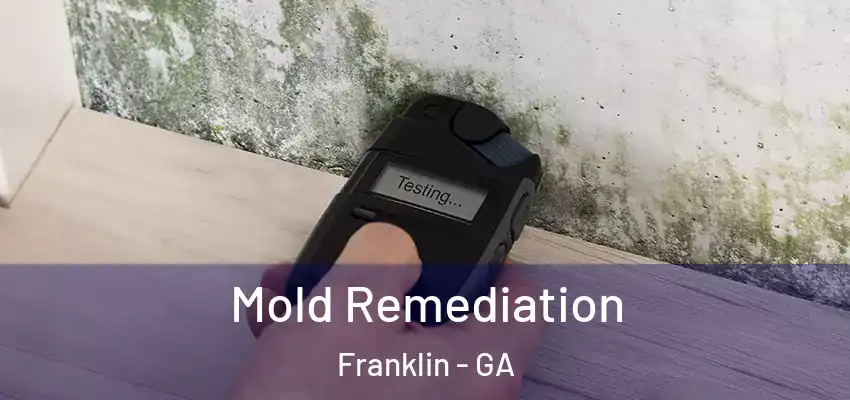 Mold Remediation Franklin - GA