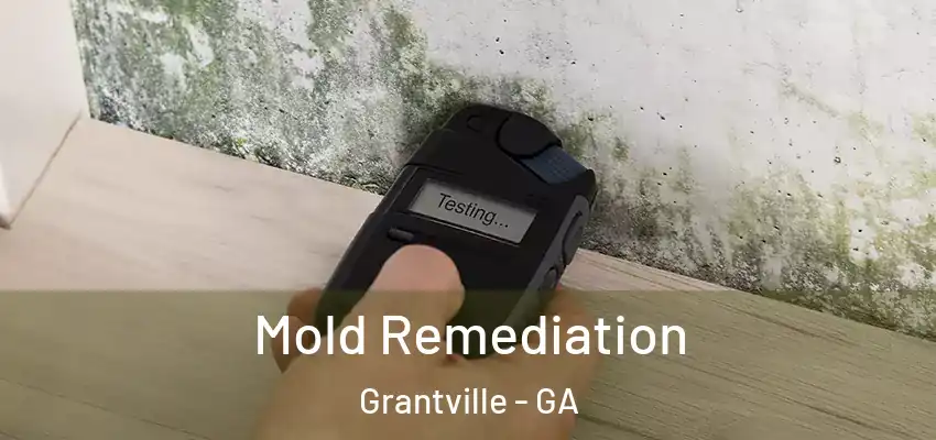 Mold Remediation Grantville - GA