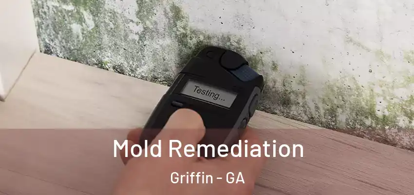 Mold Remediation Griffin - GA