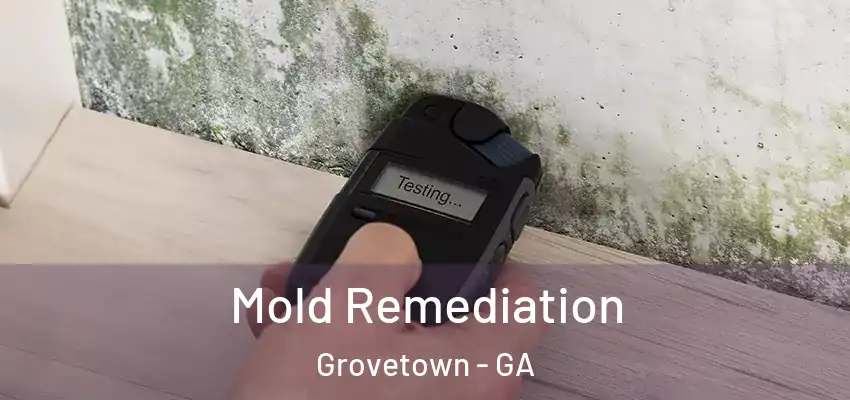 Mold Remediation Grovetown - GA