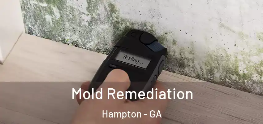 Mold Remediation Hampton - GA