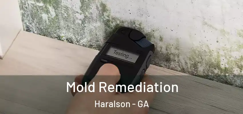 Mold Remediation Haralson - GA