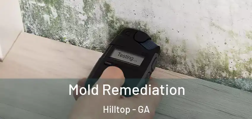 Mold Remediation Hilltop - GA