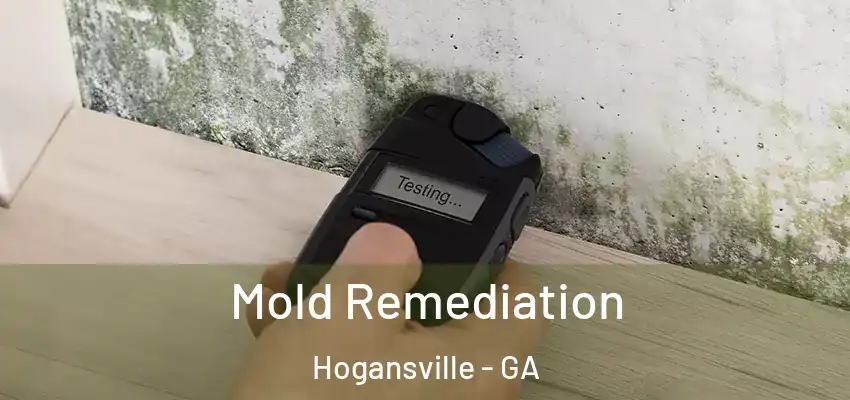Mold Remediation Hogansville - GA