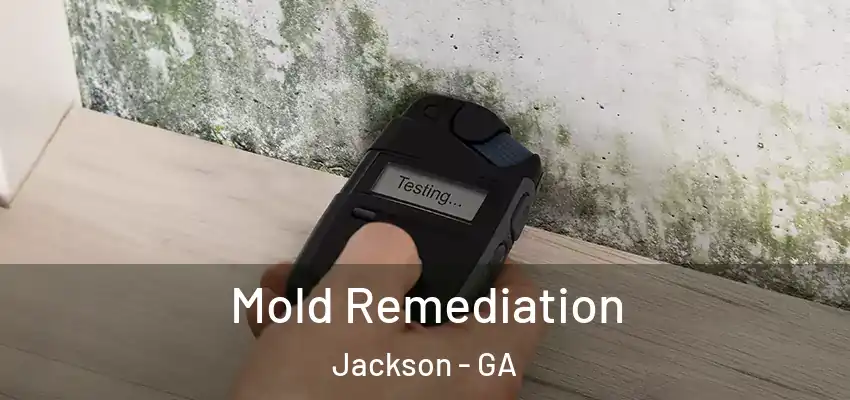 Mold Remediation Jackson - GA