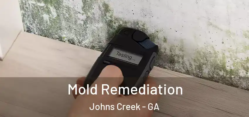 Mold Remediation Johns Creek - GA