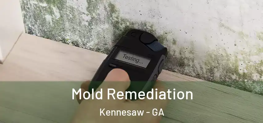 Mold Remediation Kennesaw - GA